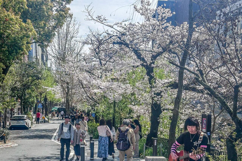 Osaka/Kyoto/Nara: Private Full-Day Sightseeing Tour Hiroshima Private Tour