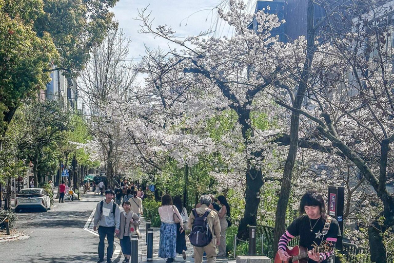 Osaka/Kyoto/Nara: Private Full-Day Sightseeing Tour Hiroshima Private Tour