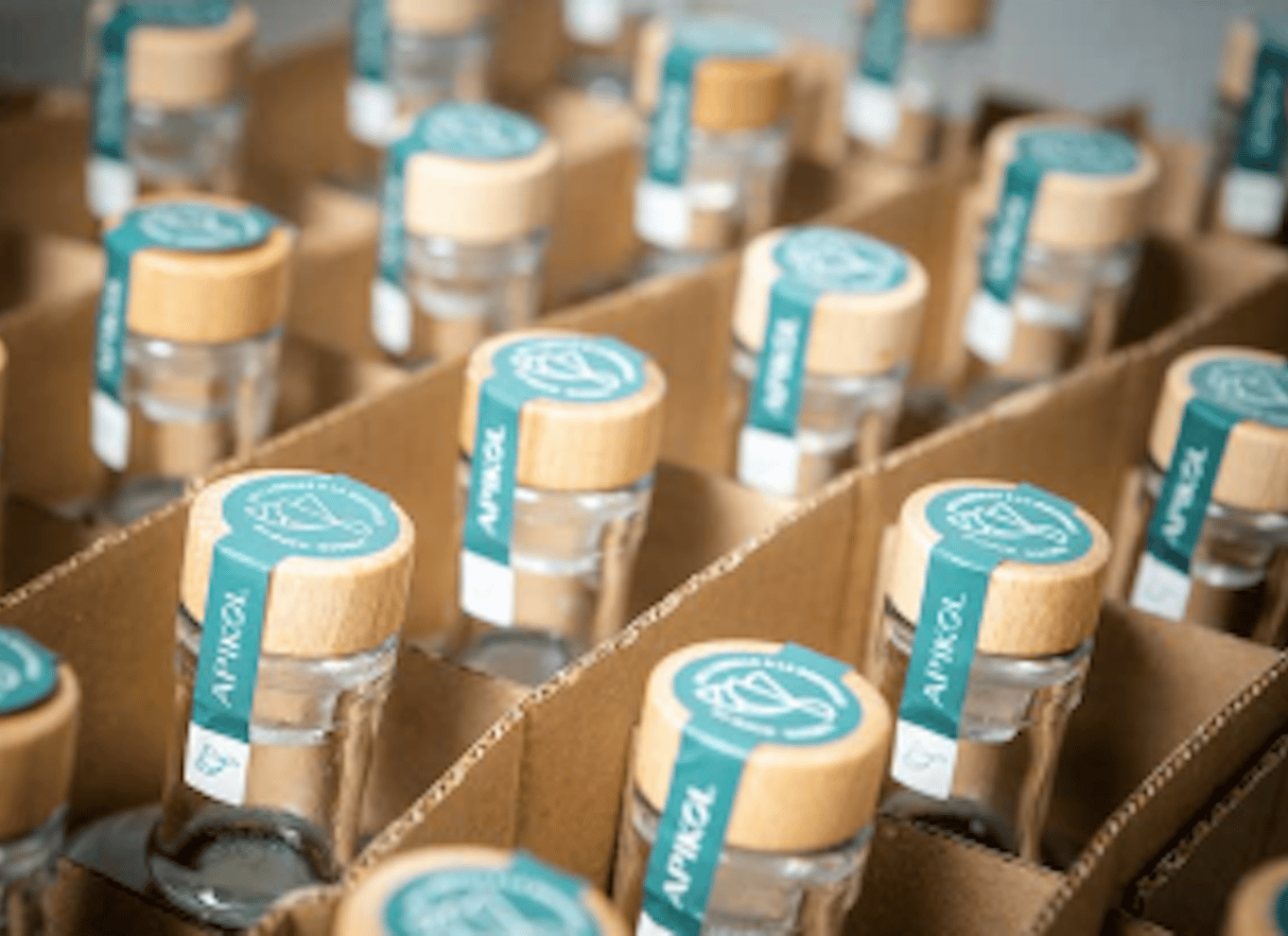 Quebec City: Honning- og destilleritur med smagning