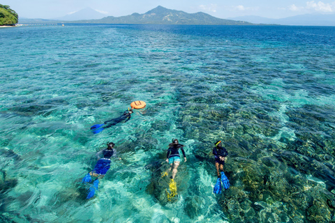 Från Da Nang: Dagsutflykt till Cham Island