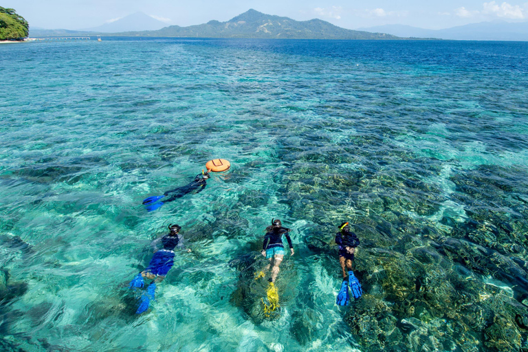 From Da Nang: Cham Island Day Trip