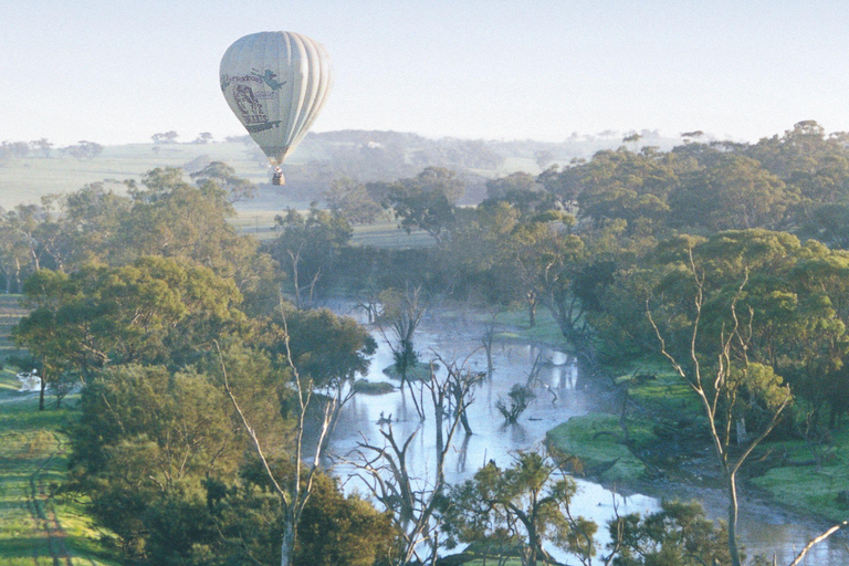 Avon Valley: HeißluftballonfahrtFlug mit Frühstück - nur werktags