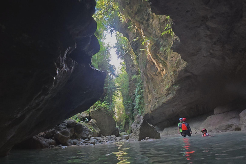 Cebu: Oslob Whaleshark Watching Canyoneering privé ophalen