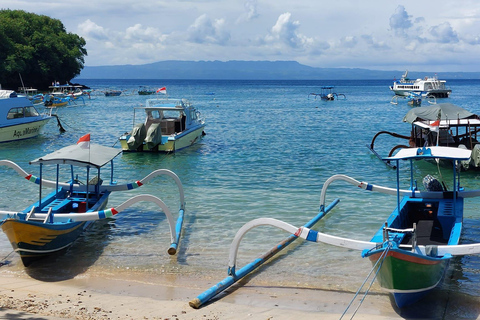 Bali: Blue Lagoon en Tanjung Jepun snorkeltour met ...