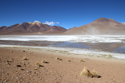 La Paz: Uyuni zoutvlakte en Incahuasi eiland |5 dagen met de bus