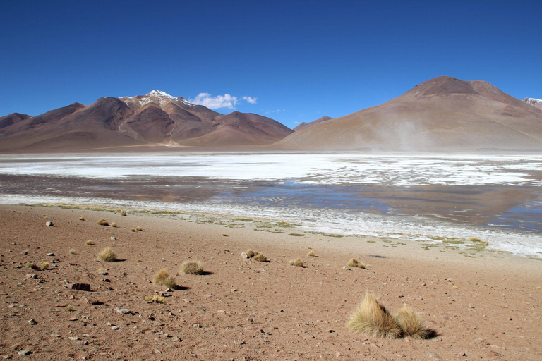 La Paz: Uyuni zoutvlakte en Incahuasi eiland |5 dagen met de bus