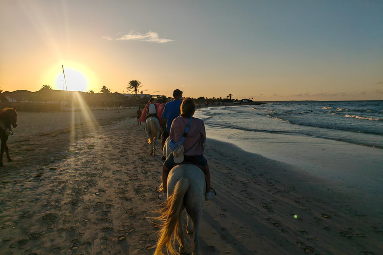 杰尔巴岛：在蓝色泻湖骑骆驼和骑马。杰尔巴：蓝色泻湖骑骆驼和骑马之旅。