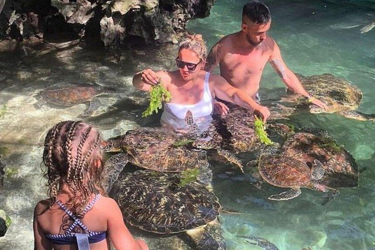 Zanzibar: Salam Cave Turtles & Blue Lagoon with Starfish Private tour with hotel transfer anywhere in Zanzibar.