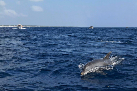 Zanzibar: Passeio de mergulho com snorkel na Ilha Mnemba