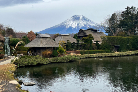 Depuis Tokyo/Yokohama : Excursion privée d'une journée au Mont Fuji et à Hakone