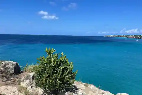 Verborgen juweeltjes van Curaçao met strandwandeltour