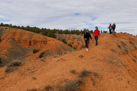 From Valencia: Hiking Tour of The Red Canyon of Teruel