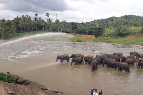 Colombo/Negombo: Kandy and Pinnawala Orphange Day Tour