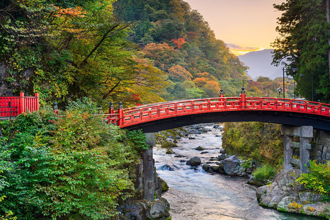 De Tóquio: Excursão de 1 dia a Nikko, Património Mundial, em privado