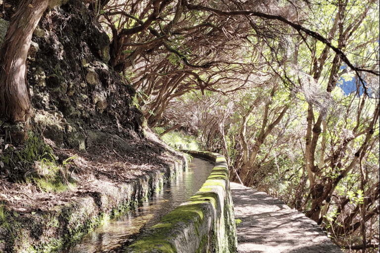 Madeira: 25 Fountains Rabaçal Forest Walk