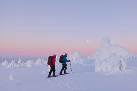 Levi : réveil matinal en raquettes à neige