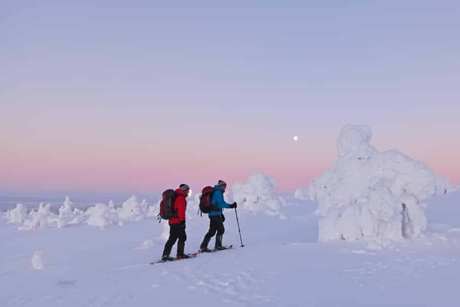 Levi: Morgens mit Schneeschuhen aufwachen. Foto: GetYourGuide Levi: Morgens mit Schneeschuhen aufwachen. Foto: GetYourGuide