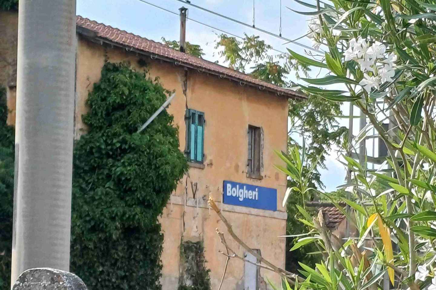 Bolgheri: Ebike tour nella pineta di Bibbona poi Bolgheri e Castagneto C.