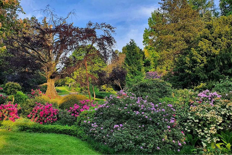 Wrocław: Private Tour to Gold Mine, Książ Castle & Arboretum Wrocław: Private Tour to Gold Mine & Książ Castle