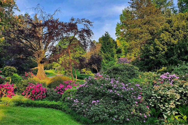 Wrocław: Private Tour to Gold Mine, Książ Castle & Arboretum Wrocław: Private Tour to Gold Mine & Książ Castle