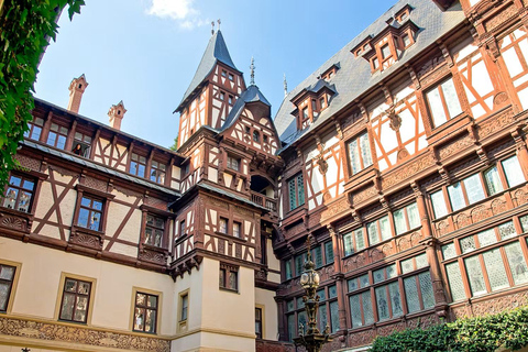 MINIVAN Dracula Castle, Peleș Castle & Old Center of Brașov Audio Guide 24 Languages