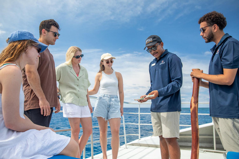 Cairns : Circuit de 2 jours de la Grande Barrière de Corail et de l'île de Fitzroy