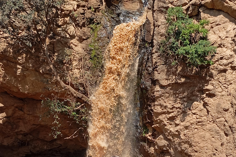 Tagestour zum Lake Elementaita &amp; Lake Naivasha ab Nairobi