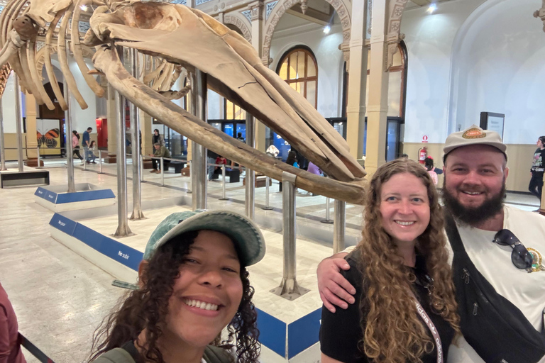 Santiago : Yungay, mémoire, art et visite à pied du quartier