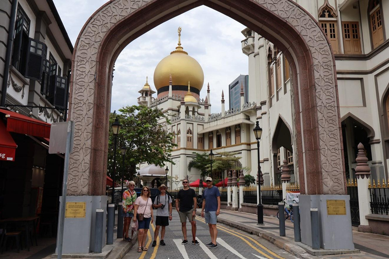 Singapore Private Customized Walking Tour in SPANISH! 2 Hour Walking SPANISH Tour