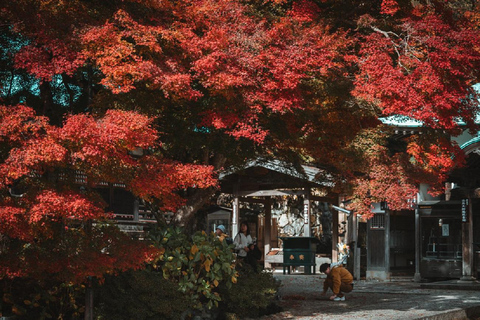 Osaka: Katsuoji Temple Guided Tour with Bus Transfer Private Tour in English with Meeting Point