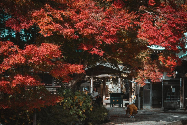 Osaka: Katsuoji Temple Guided Tour with Bus Transfer Private Tour in English with Meeting Point