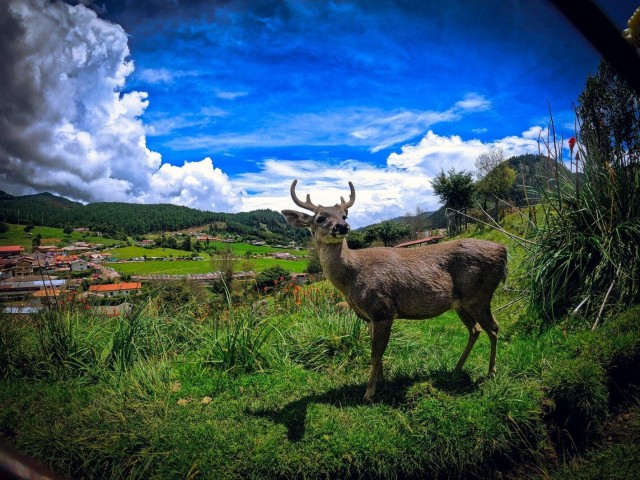 Visit Cajamarca | Porcón Farm and Otuzco | in Cajamarca