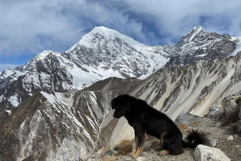 加德满都：朗唐谷地6日全包导游徒步之旅
