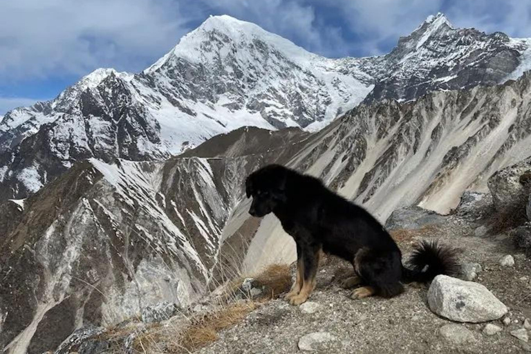加德满都：朗唐谷地6日全包导游徒步之旅