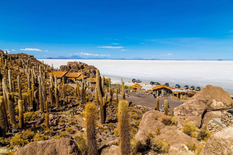 De Uyuni: Tour de 1 dia de bicicleta ao Salar de Uyuni + almoço