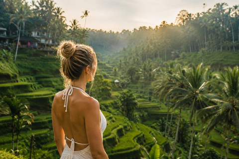Ubud: Tour Private Waterfalls , Rice Terraces & Bali Swing Private Tour Without Entry Ticket