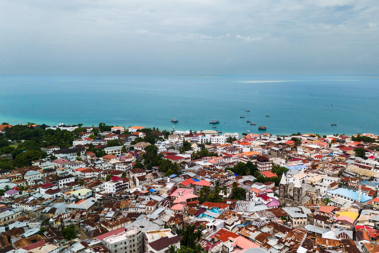 Mnemba island, Dolphin and Stone town tour with transfer WITH TRANSFER - WITH LUNCH