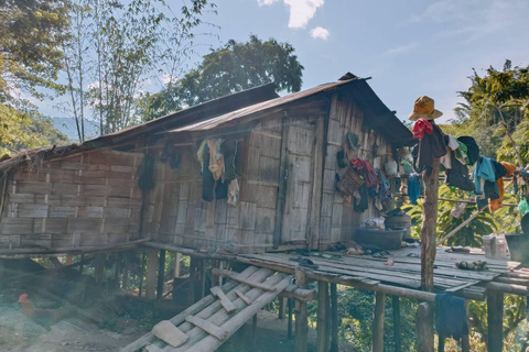 1 Day trekking : Chiang Rai popular activity,Fun in Nature.