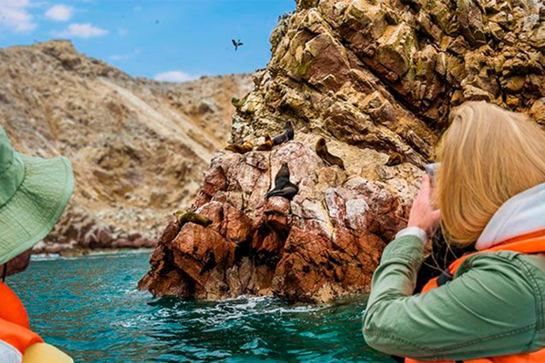 Ballestas Islands: Peru’s Natural Paradise boat tour