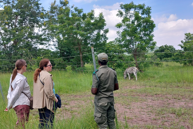 Safari à Accra