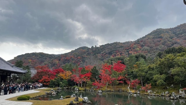 Arashiyama/Tenryu-ji tour: harmony of nature,art &garden