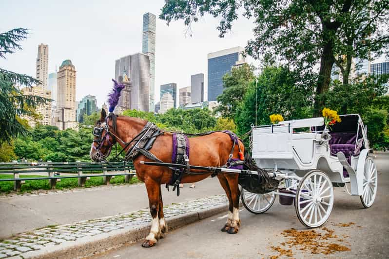 NYC: Guided Central Park Horse Carriage Ride | GetYourGuide