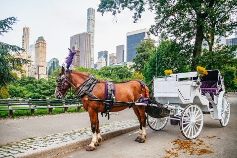 VIP-rit met privépaardenkoets in Central ParkVIP privérondleiding
