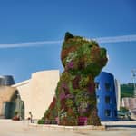 Visita guidata esterna e accesso al Museo Guggenheim