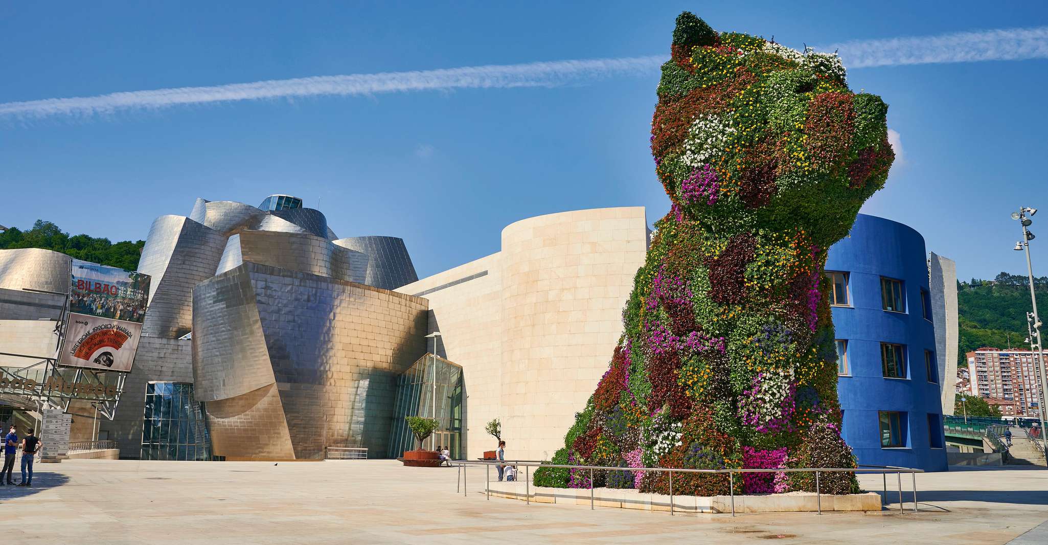 Guided tour of the exterior and access to the Guggenheim Museum