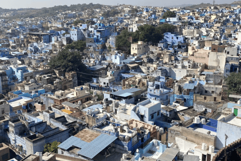 Jodhpur Tour with Mehrangarh & Blue City Pickup & Drop Half Day Mehrangarh Fort and Blue City Private Guided Tour