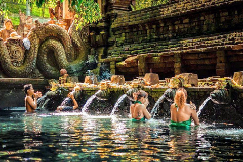 Ubud: Monkey Forest, Water Temple, Rice Terrace & Waterfall Ubud Full Day Tour 8-12 hours