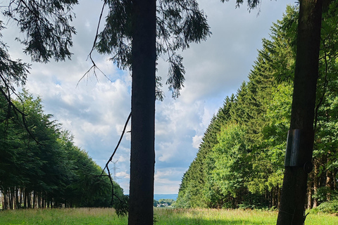 Battle of the Bulge & Gen Patton Private Tour from Brussels