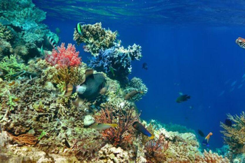 Gili Islands: Snorkeling Sharing Group Tour with Photos