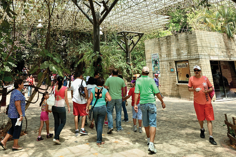 Tuxtla: ZooMAT Guided Tour with Hotel Pickup